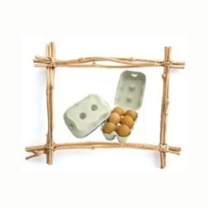 6 Egg Boxes